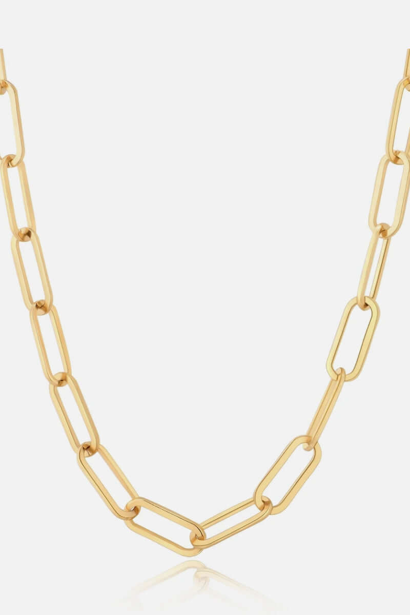 Thick Clip Chain Necklace - STUFF TREND